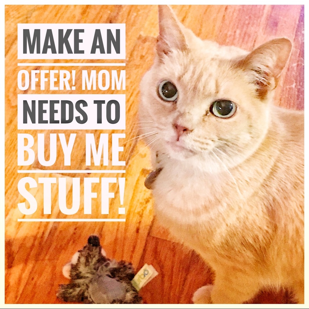 Make An Offer!